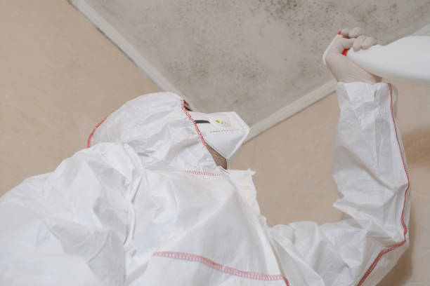 Best Mold Testing and Inspection Services in Humboldt Hill, CA