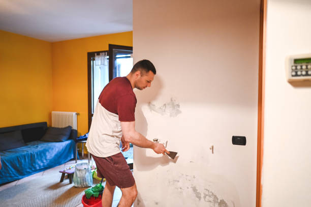 Best Mold Remediation for Schools in Humboldt Hill, CA
