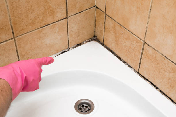 Humboldt Hill, CA Mold Remediation Company